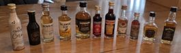 Miniatur Flaschen Sammlung, 12 Stück, verschiedene Sorten