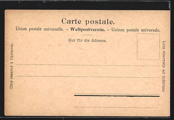 Cartoline postali: AK Schweizerin in Graubündener Tracht – Usato da Berlin venduto da bartko-reher 1