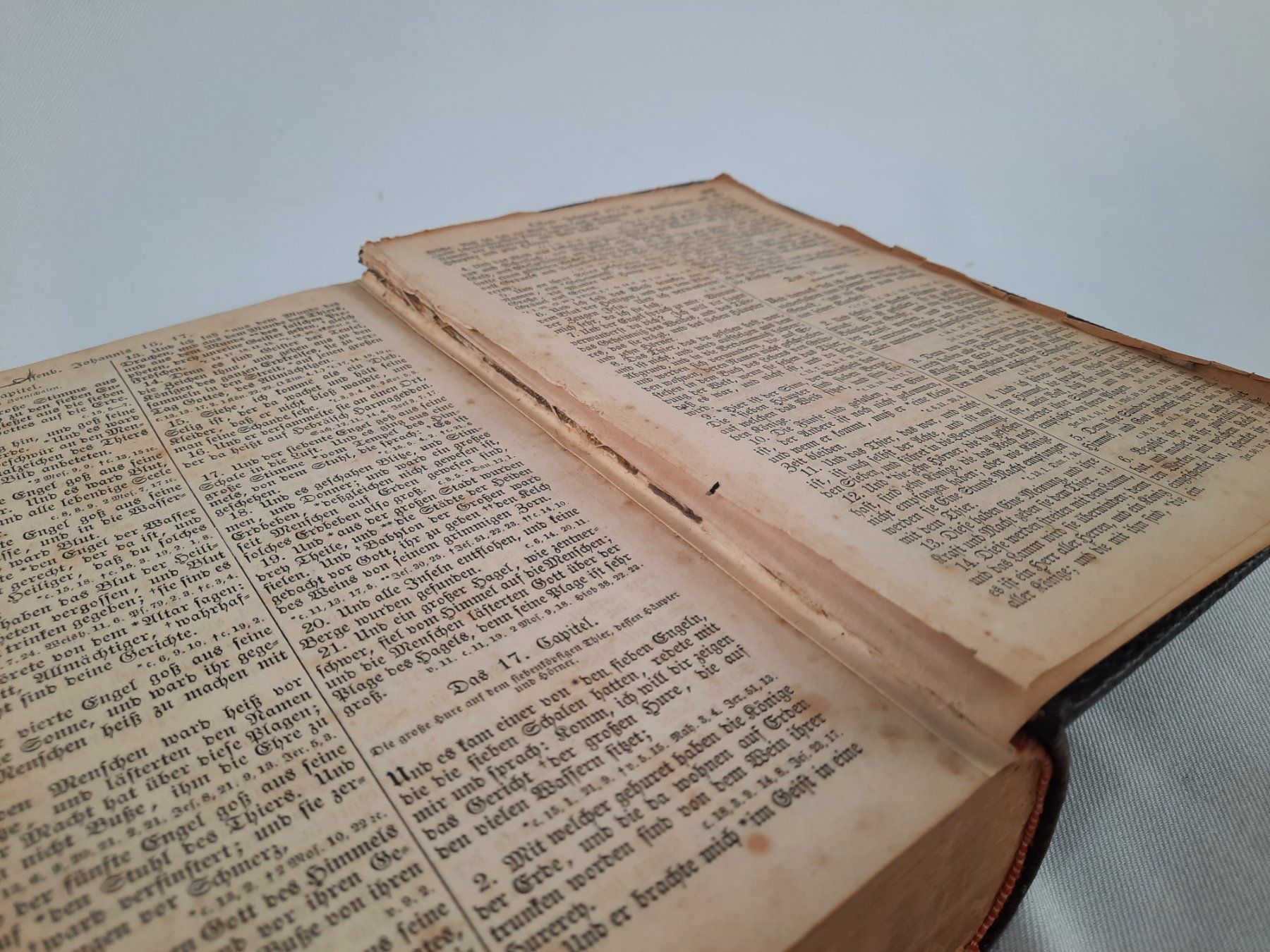 Libri: Die Bibel von 1878 – Usato da Beinwil am See venduto da Restwert_Beinwil 5