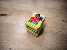 PANINI SET 250+ Bilder