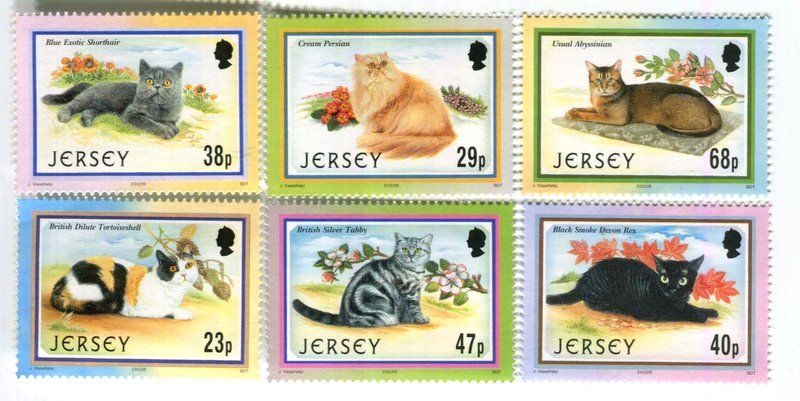 Tutti i francobolli: Briefmarken "Katzen". Jersey – Nuovo e nell'imballaggio originale da Basel venduto da Butsch5