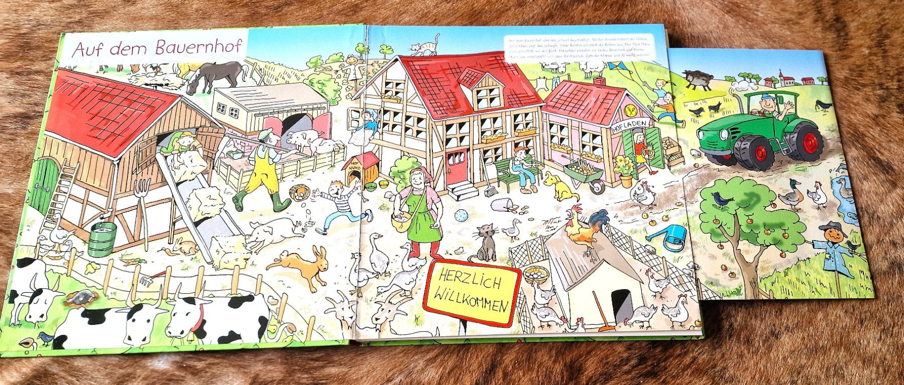 Libri: Kinder Wimmelbuch Set 5 Stück – Usato da Hombrechtikon venduto da MalgorzataJ 4