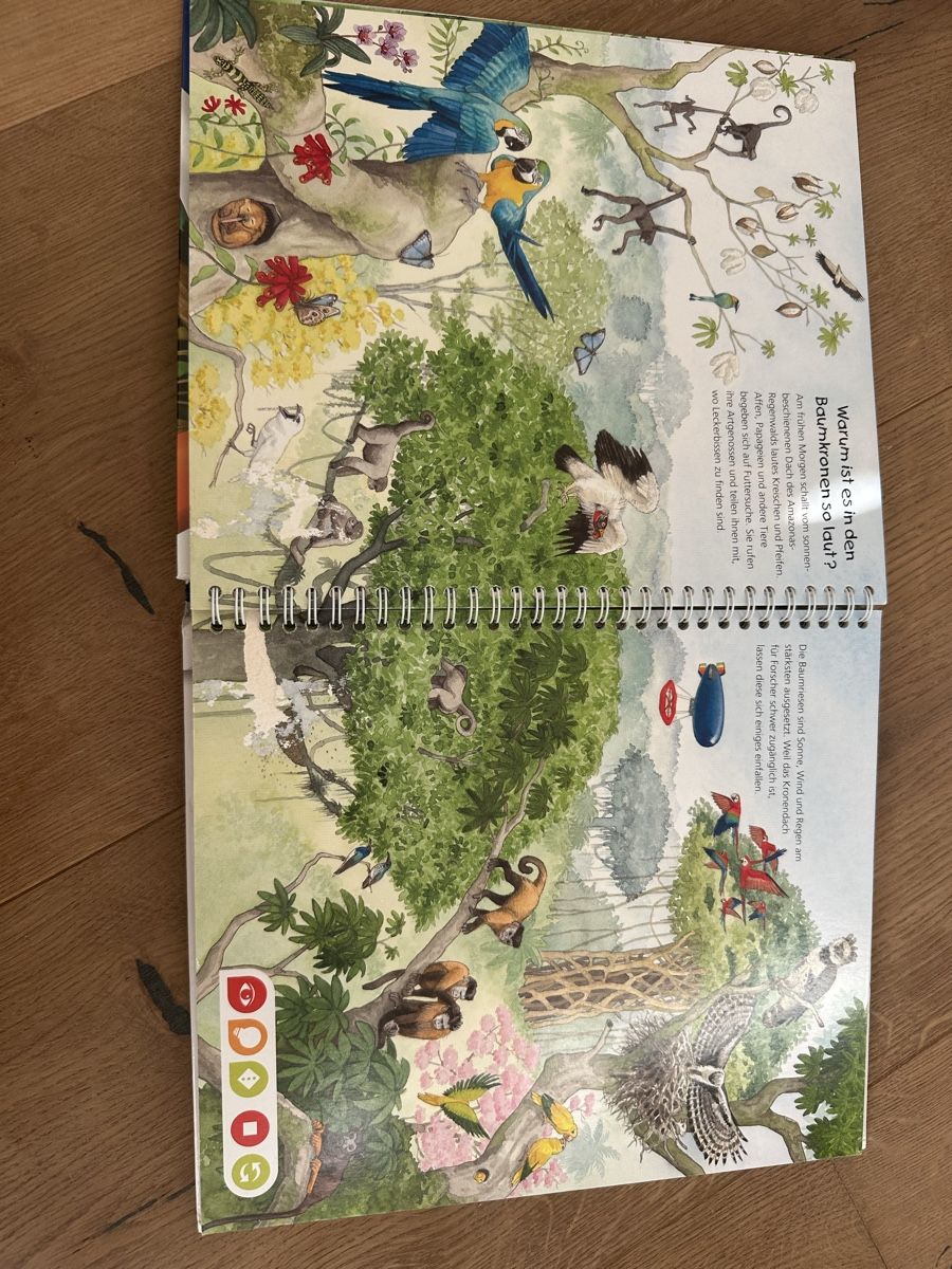 Tiptoi Giochi: Tiptoi Set inkl. Stift – Usato da Buchs SG venduto da pessego2008 3