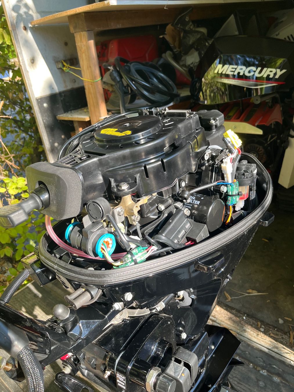 Austin Motoren: Mercury efi 20 Aussenborder NEU – Neu (gemäss Beschreibung) aus Hombrechtikon von Stella8 4