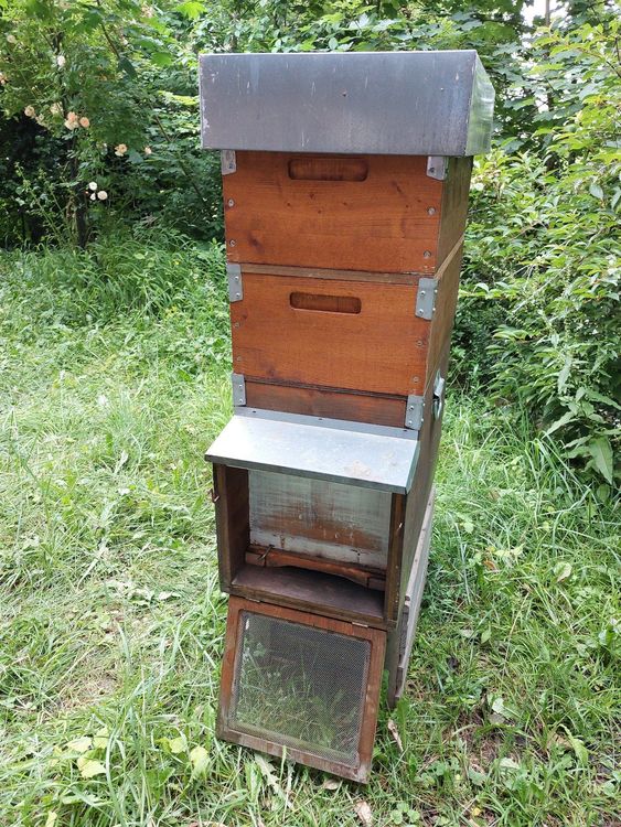 Ablegerkasten CH Mass Bienen (Neu (gemäss Beschreibung)) in Sennhof für