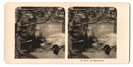 Stereo-Fotografie Bern, Blick in den tro