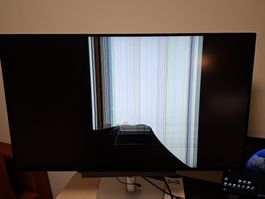 Dell UltraSharp U3225QE 32" Thunderbolt/4K - DEFEKT