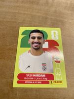 Panini IRN 10