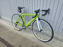 Rennvelo Price RH 50 cm