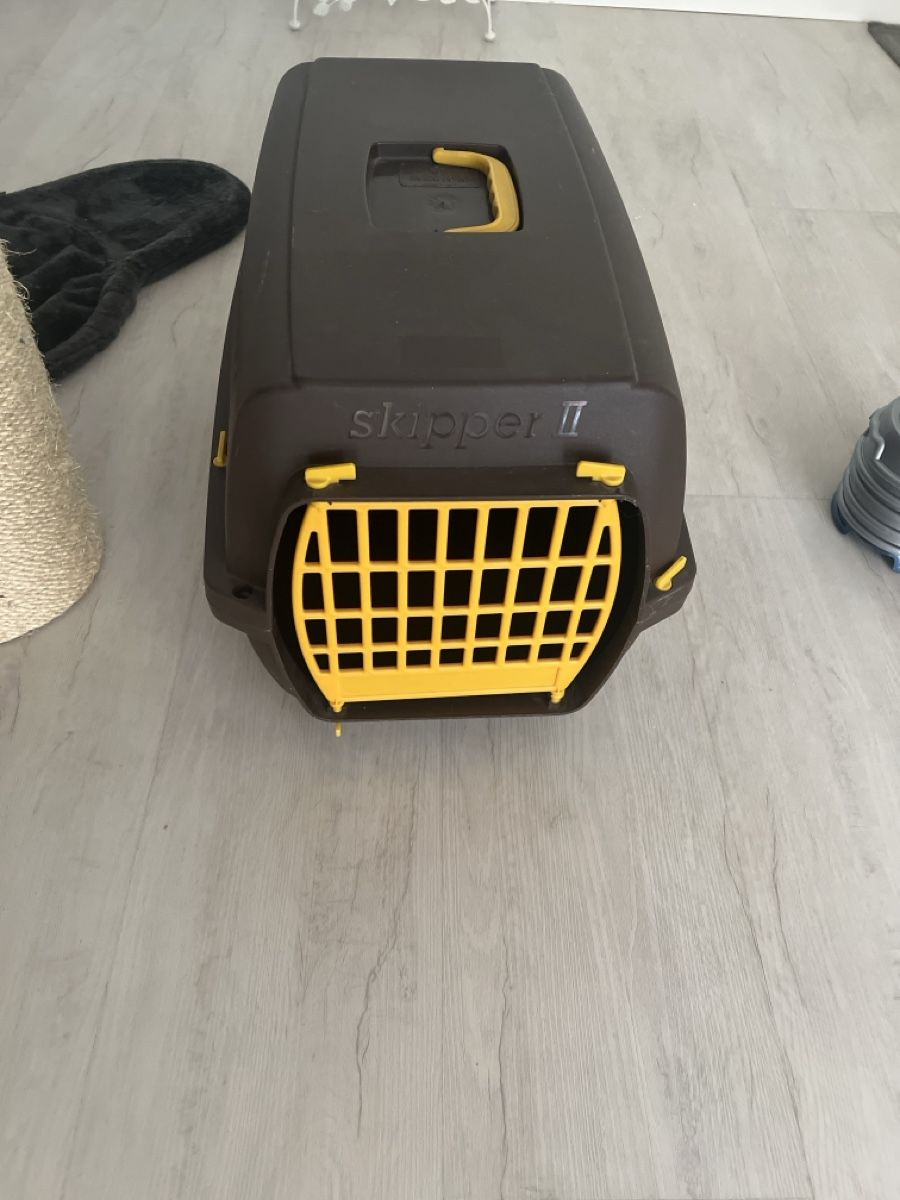 Tiragraffi: Katzenbaum  – Usato da Rothenburg venduto da Toulouse1 5