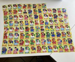 100 Panini Sticker WM 2026