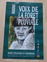 VOIX DE LA FORET PLUVIALE: Bruno Manser