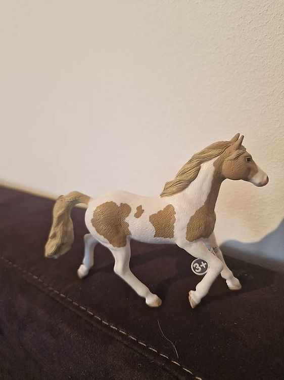 Spielzeuge: Schleich Stute Paint Horse – Gebraucht aus Dussnang von sam_l6bb