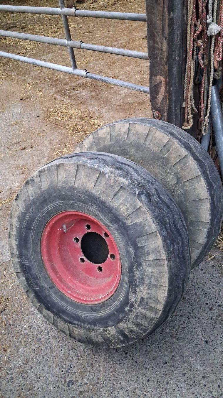 Rimorchi: Agrar ladewagen Achse – Usato da sünikon venduto da SDF9898 3