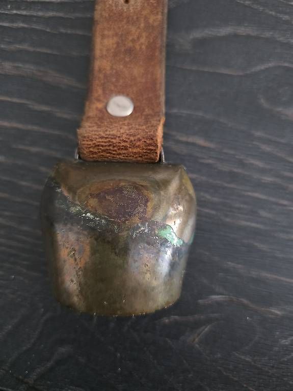 Campanacci mucche: Kleine alte Schweizer Glocke ? Handbemalt – Usato da Basel venduto da han_swq7 1