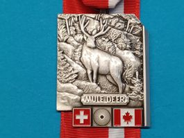 Vancouver Mule Deer 2004 (R22)