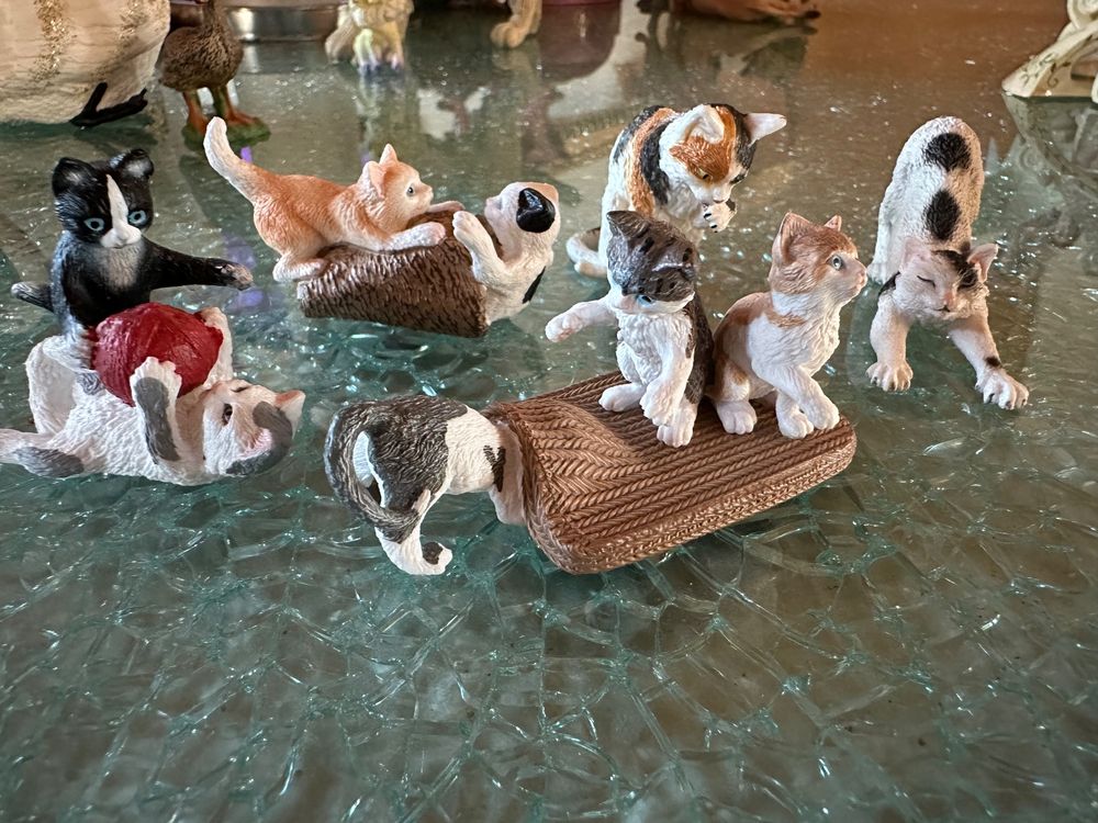 Schleich Katzen Set (5 Tiere) | Kaufen auf Ricardo