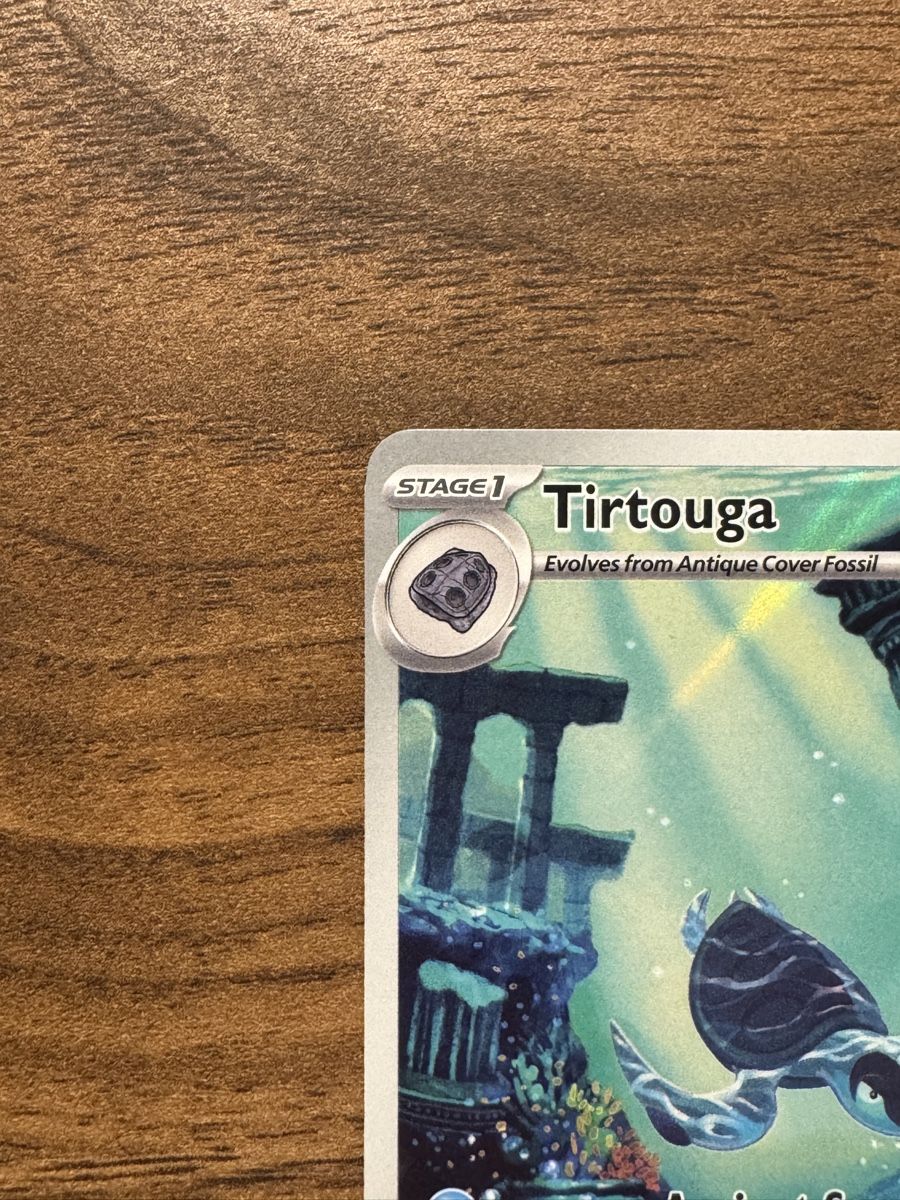 Cartoline: Pokemon TCG Tirtouga  – Nuovo (secondo la descrizione) da Aarau venduto da Thilo1974 1