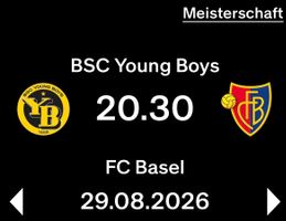 YB - FC Basel (29.08.2026) 1 Ticket Sektor B