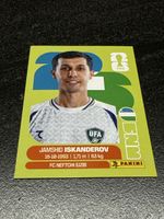 Panini FIFA WM UZB 12