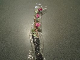 Stirnband Blumen pink/klein