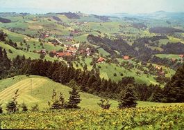 FINSTERSEE ZG Ferien- und Erholungsheim, Blick auf Uetliberg