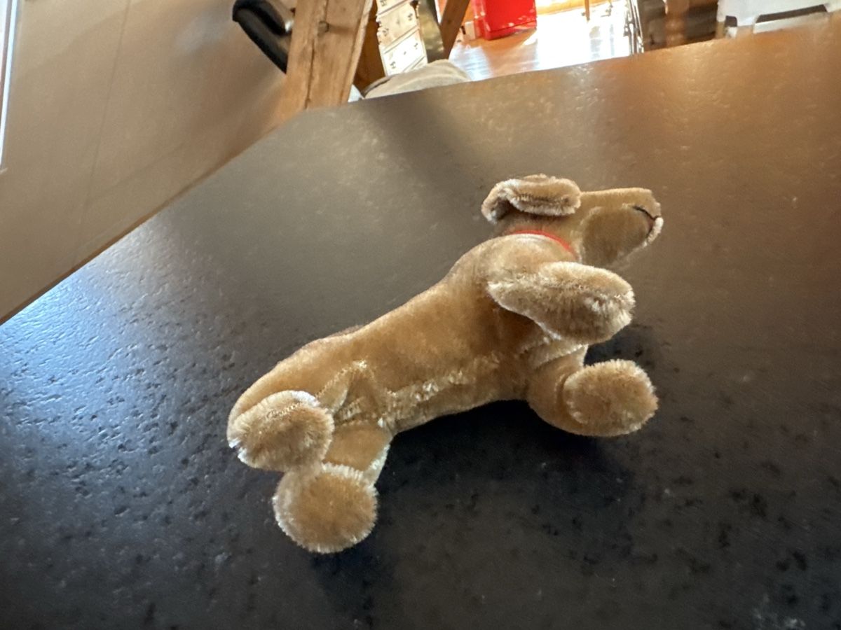 Teddy Hermann Giocattoli: Original Dackel Hermann Teddy Vintage – Nuovo (secondo la descrizione) da Schmitten FR venduto da mantom 6