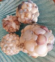Deko Kugeln mit Muscheln