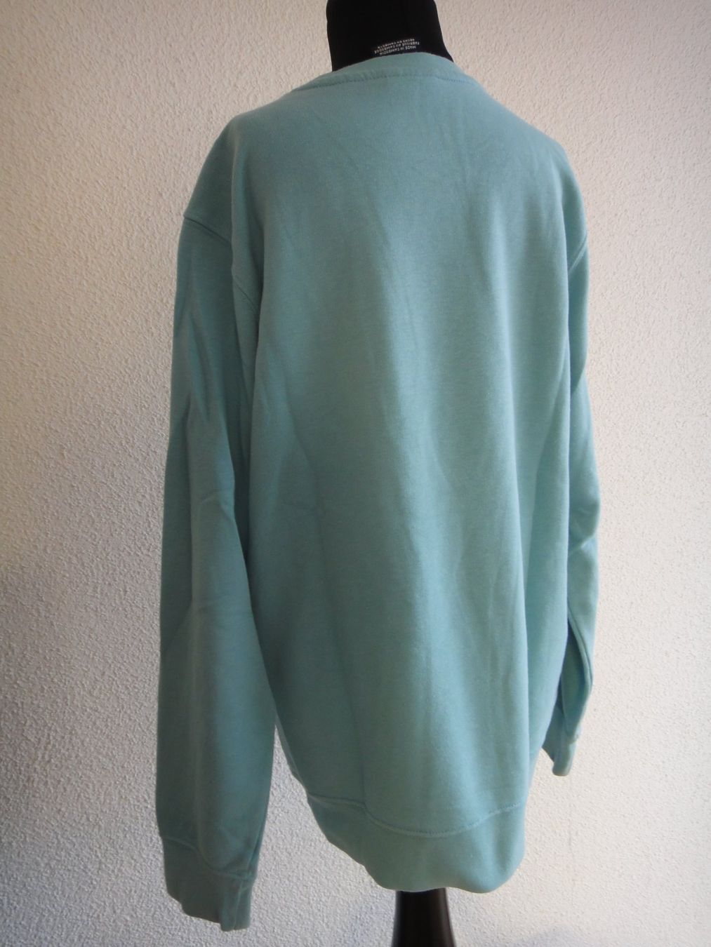 Champion Maglioni & Felpe: Champion Pullover, hellblau, Gr. 11-12 Jahre – Usato da Winterthur venduto da LemonTree5 1