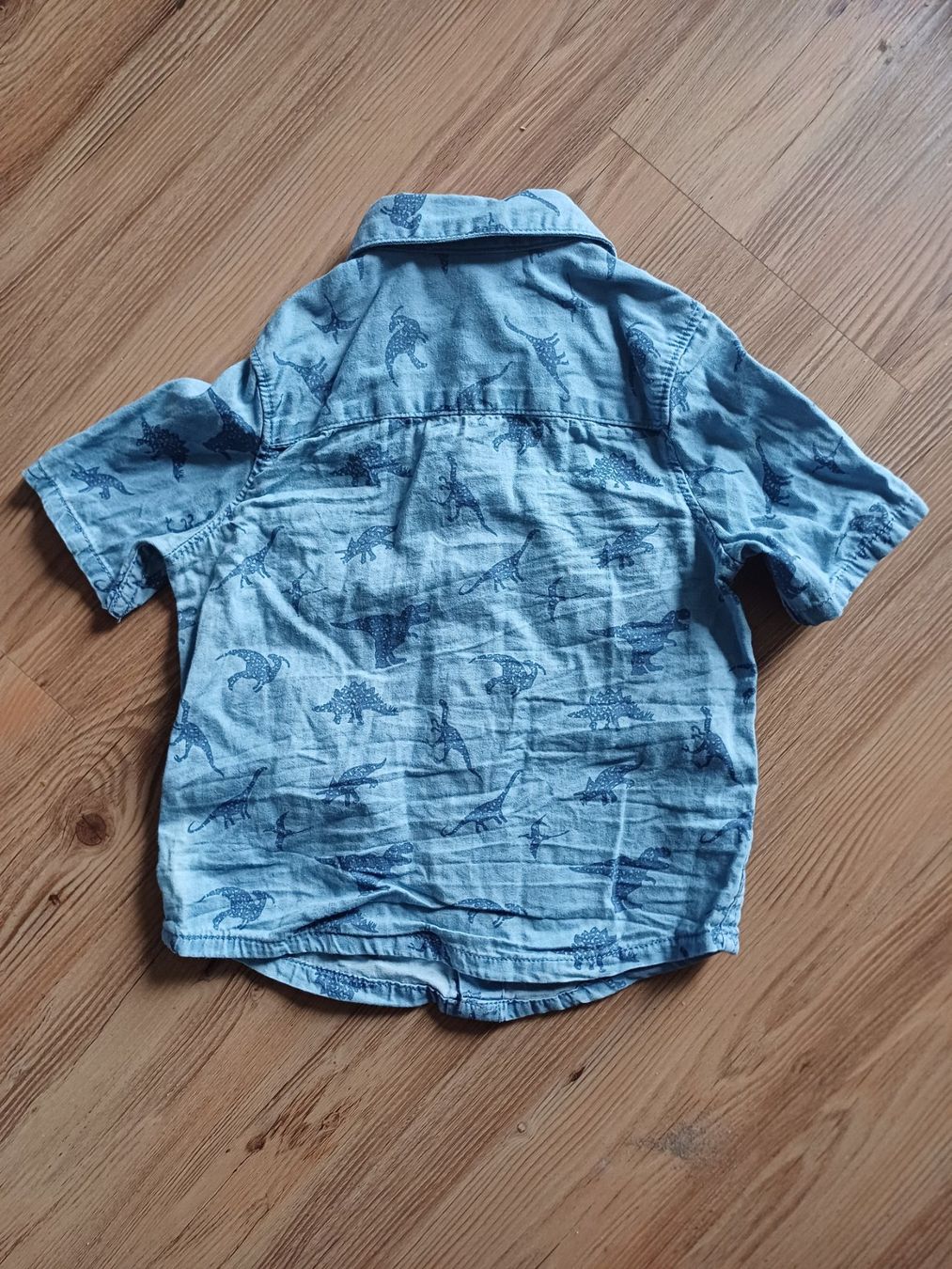 Camicie, Top & T-shirt: Süsses Dinoprint Hemd Gr. 80 – Usato da Balsthal venduto da Memphis18 1
