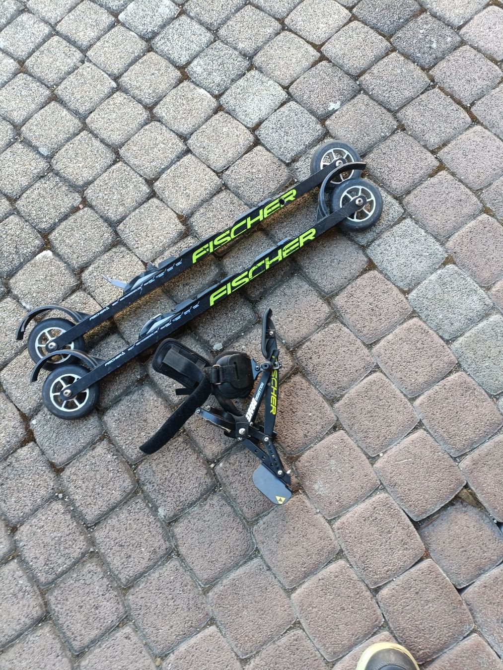 Fischer Skis: Rollskt Fischer – Gebraucht aus Fischbach-Göslikon von Empathie