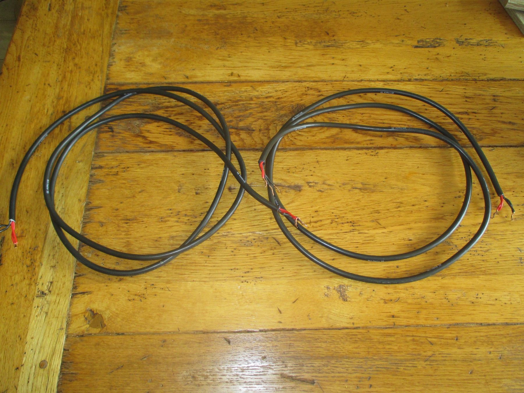 Cavi: Câbles Hauts-parleurs ACTINOTE Mezzo x 2 – Usato da Monthey venduto da blackcat45