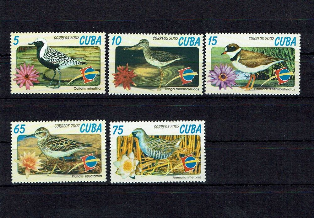 Cuba 2002 - Oiseaux 1