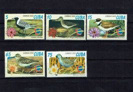 Cuba 2002 - Oiseaux