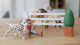 2 Schleichpferde mit Zubehör
