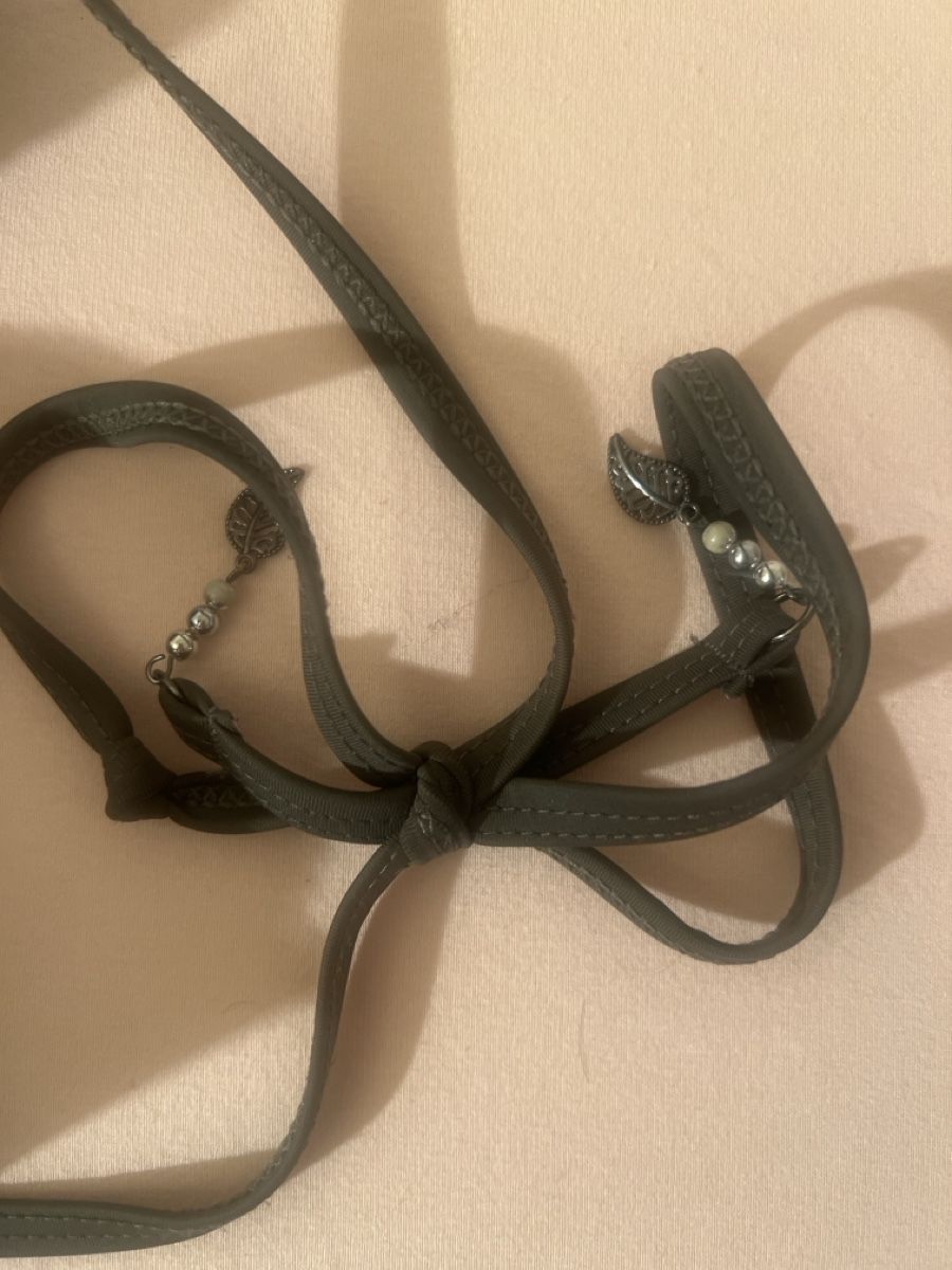 Sonstige Unterwäsche: Bikini Dunkelgrün mit Muster Grösse M – Neu (gemäss Beschreibung) aus Winterthur von tan_f66m 3