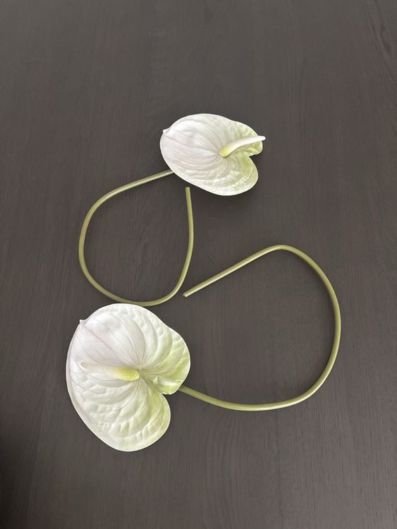 Fake flowers verbiegbare stengel (Neu (gemäss Beschreibung)) in Zürich ...
