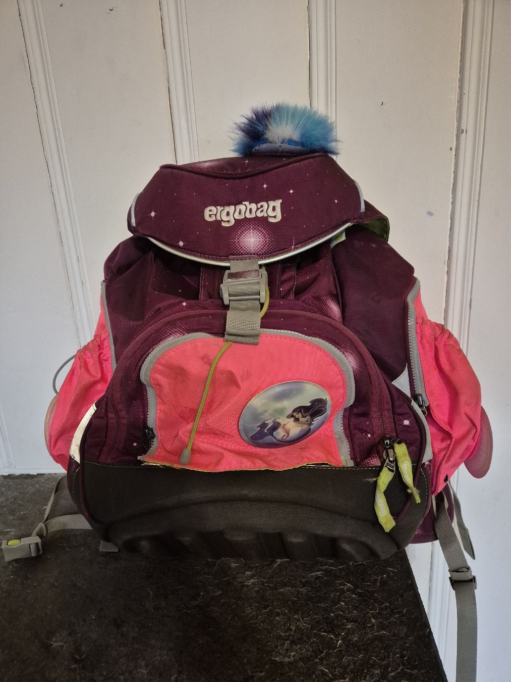Ergobag Borse & Zaini: Gut erhaltener Ergobag Rucksack – Usato da Thierachern venduto da nat3634