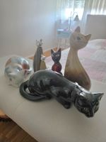 Katzen Porzellan 
