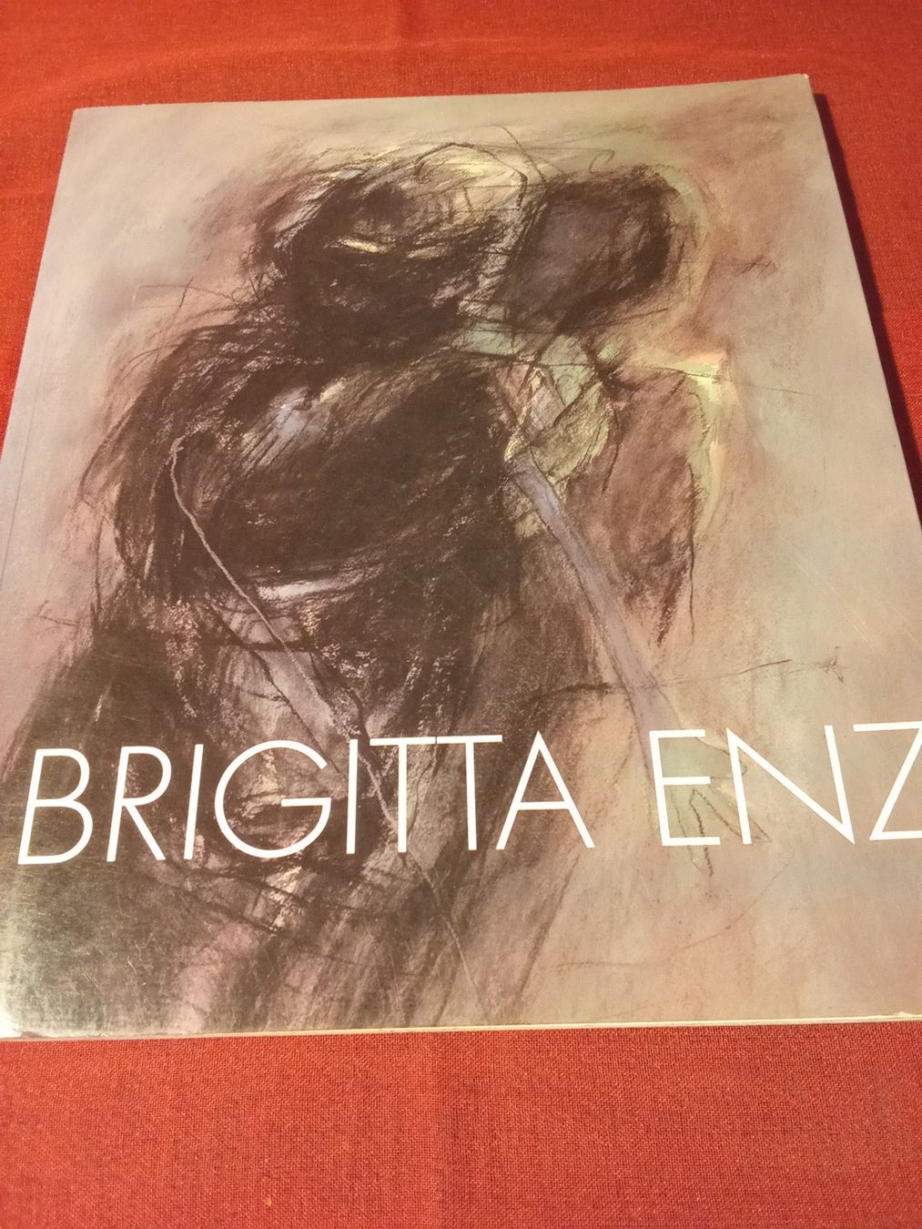 Libri: Alexandra Grosse - Brigitta Enz Bilder 1991-1995 – Usato da Remetschwil venduto da Privatflohmi