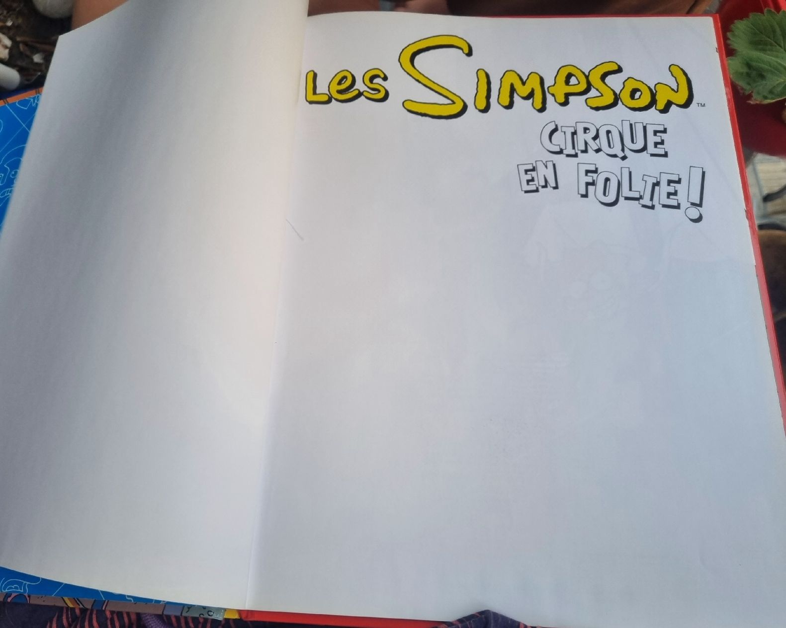 Fumetti: BD Les Simpson Cirque en folie!  – Usato da Fribourg venduto da sal_5ln6 5