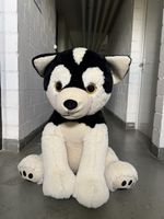 🐺 Grosser Husky Plüschhund – 81 cm
