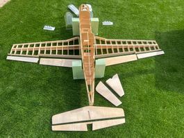 P51 Mustang 1/5 Pica