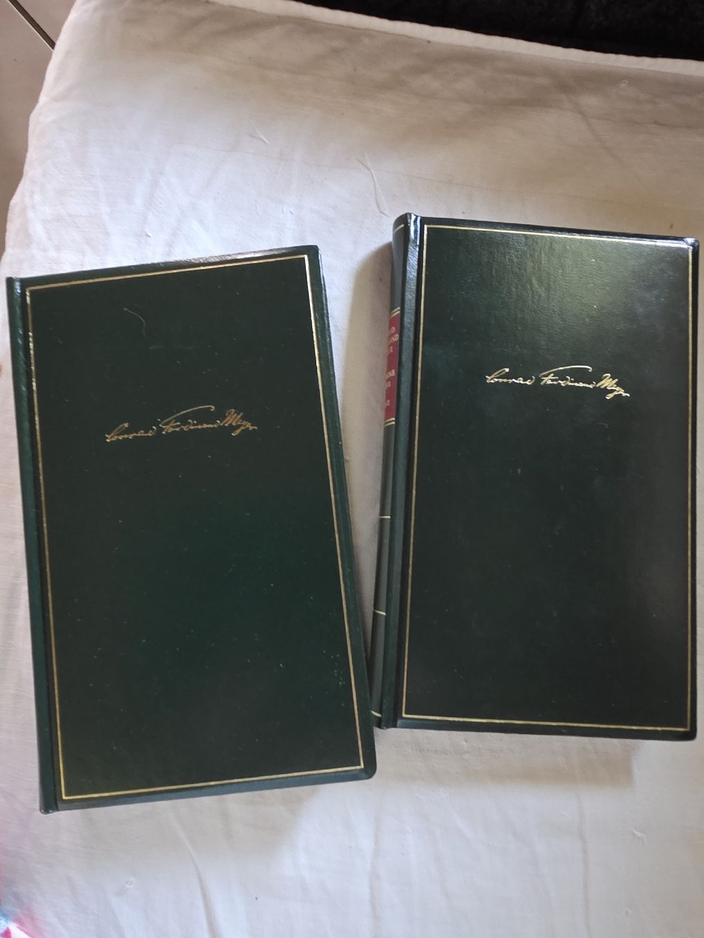 Libri: Conrad Ferdinand Meyer Saemtliche Werke 2 Bände Box – Nuovo (secondo la descrizione) da Hinwil venduto da Ehretstock8 2