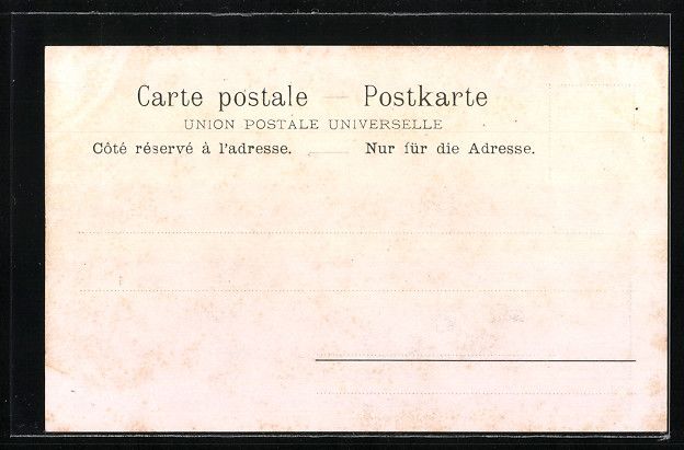 Cartoline postali: Schaffhausen, Centenarfeier 1901, Landsk – Usato da Berlin venduto da bartko-reher 1