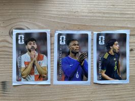 Panini CC