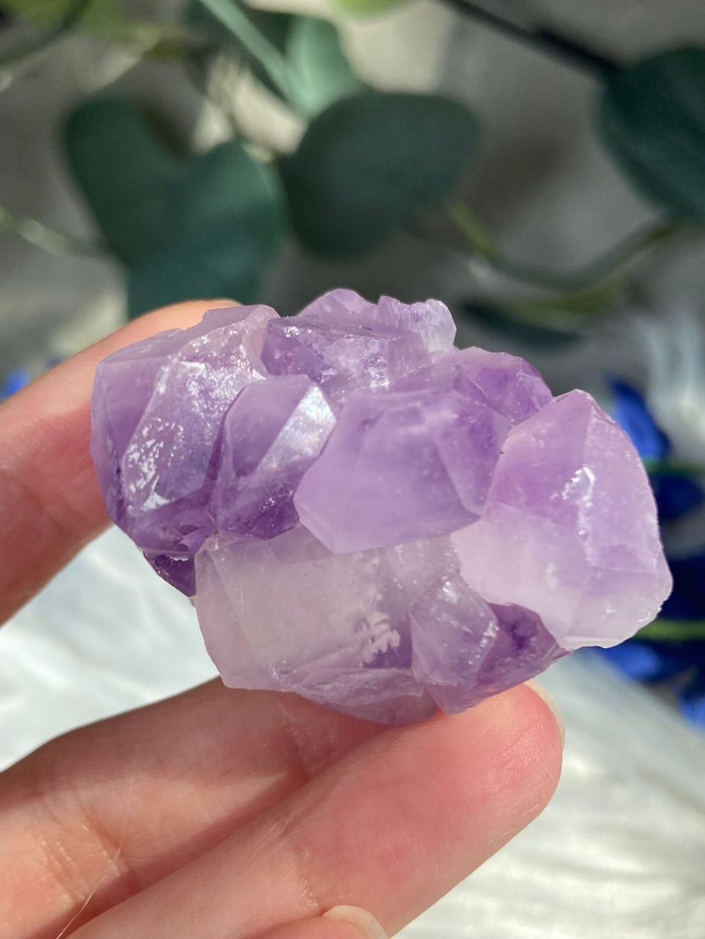 Edelsteine: Amethyst Flower Points – Neu (gemäss Beschreibung) aus Neuheim von m.hald 1