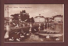 GENEVE - Pont du Mont-Blanc - Tram