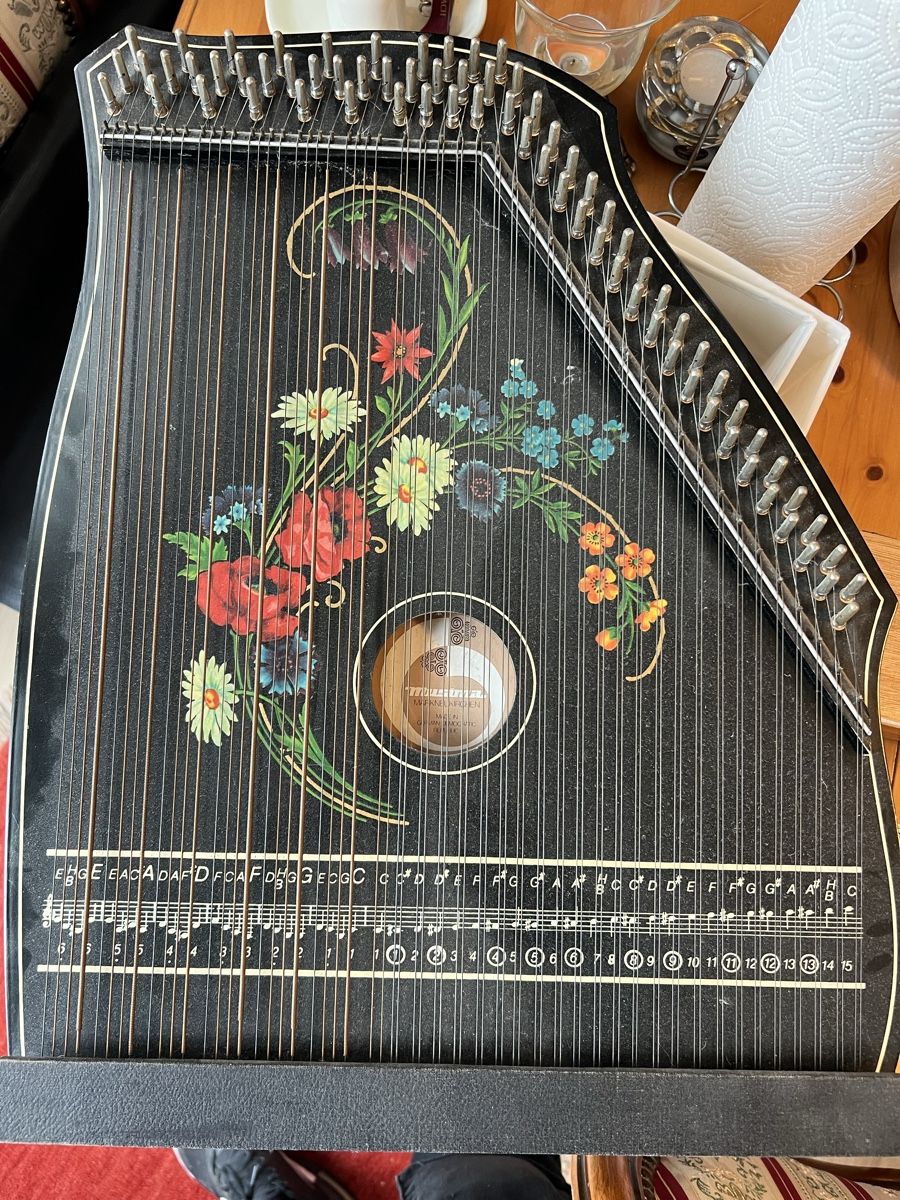 Strumenti musicali: Musik Instrument – Usato da Rheineck venduto da rn8_qny6