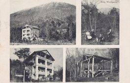 Monte dell Trinita AK 1914 Kurpension Sonnenheim ob. Locarno
